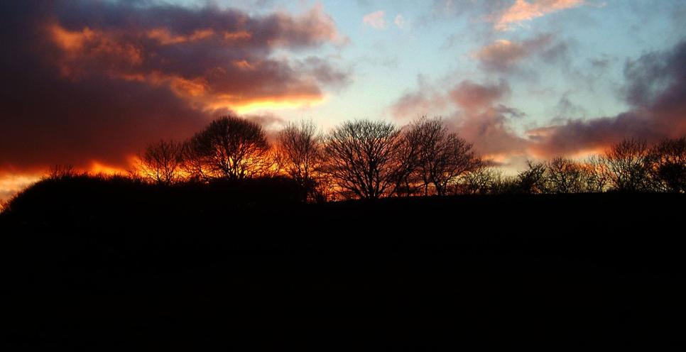 20050205-170344.jpg - Sunset