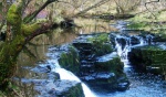 Nameless cascade