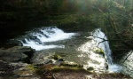 Dappled sunlight at the top