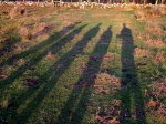 Long shadows
