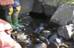 ... to the enticing cave entrance