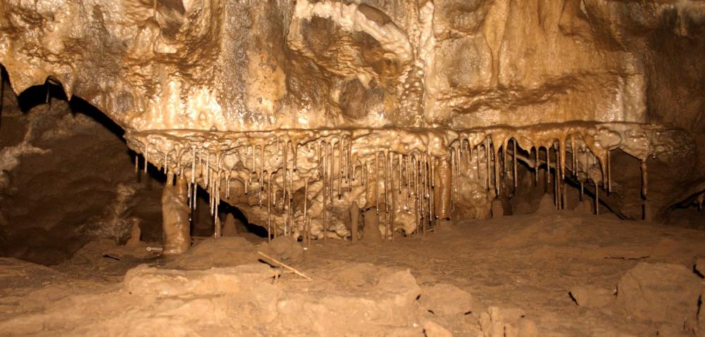 20050305-161700.jpg - Fossil-floor formations