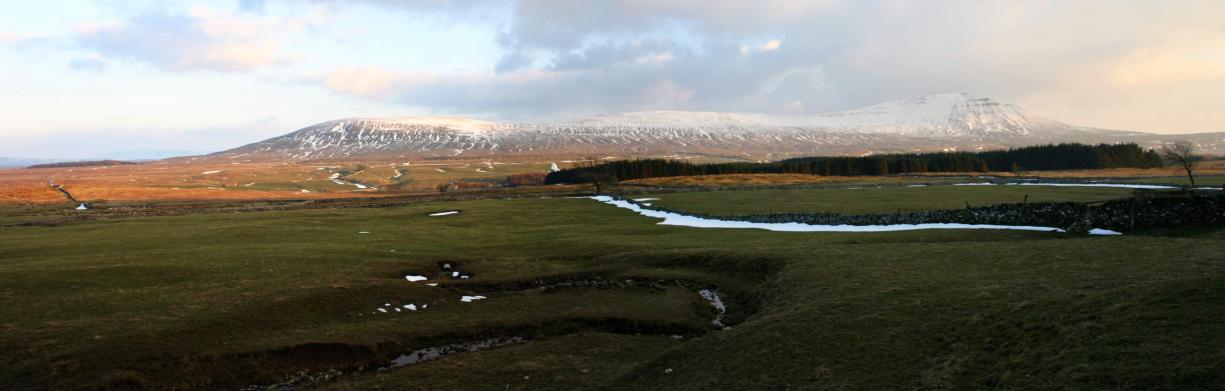 20050306-171750.jpg - Evening sun on Ingleborough