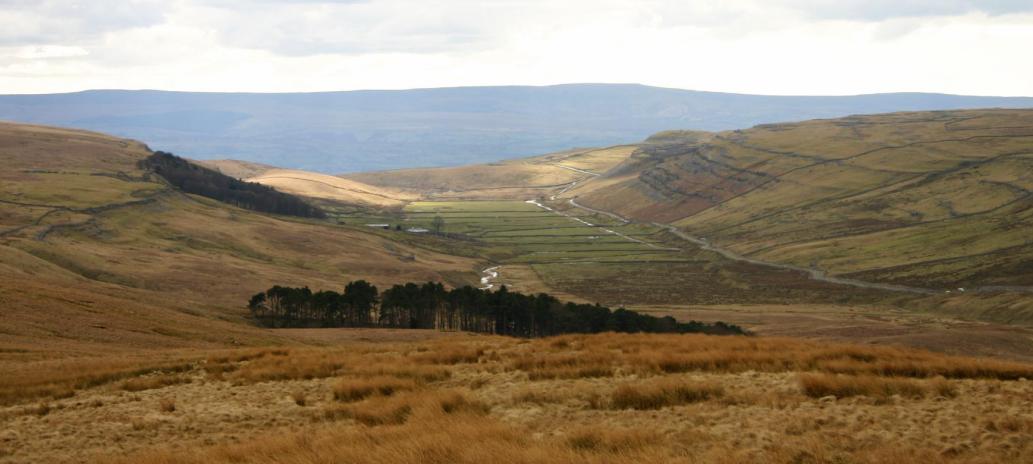 20050312-134218.jpg - Looking down Kingsdale, the start/end of the walk