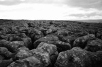 Limestone pavement
