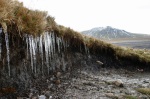 Icicles