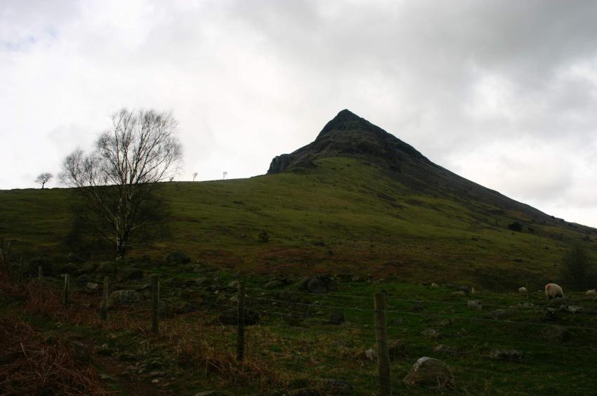 20050327-152748.jpg - Looking back up Yewbarrow from near Overbeck Bridge