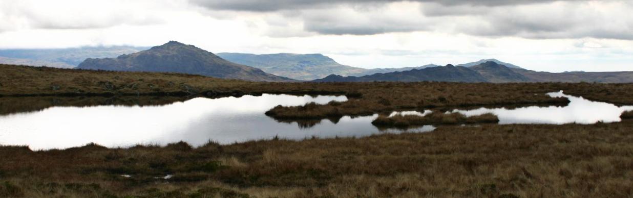20050328-131714.jpg - Harter Fell and Green Crag