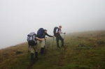 In the mist