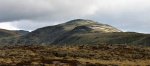 Haycock