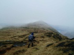 Lottie on the summit ridge of Yewbarrow