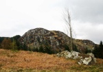 In Miterdale Forest