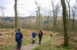 In the woods