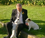 Dom with dogs
