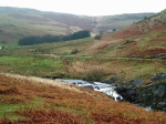 Down in the valley again