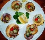 Scallops