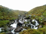 Stream (and Nick)