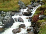Stream, close up