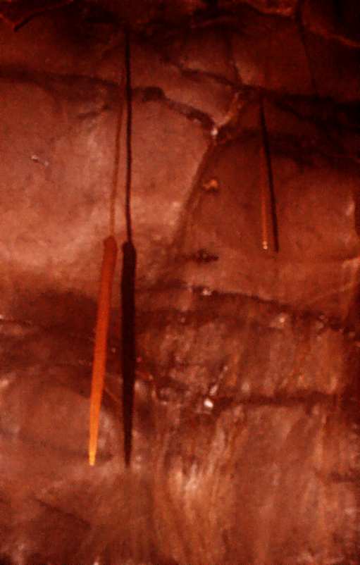 20050507-135608.jpg - Thick-ended stal, Roisin Chamber