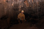 Bob amongst the stals