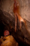 In Roisin Chamber