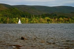 A sailing boat passes by