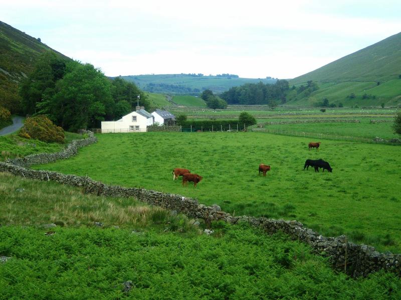20050611-194126.jpg - Swineside, in Mosedale