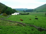 Swineside, in Mosedale