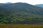 Heather patterns