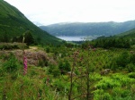 Looking back to North Ballachulish