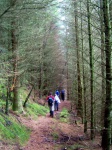 In the woods