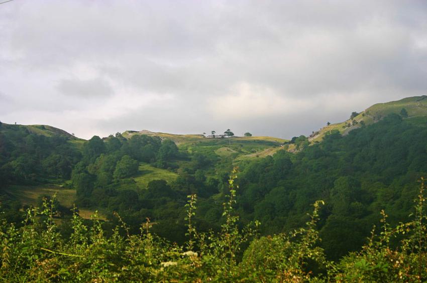 20050731-181548.jpg - View back up from Glyntawe towards Penwyllt
