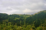 View back up from Glyntawe towards Penwyllt
