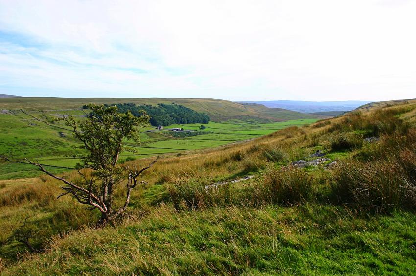 20050821-165146.jpg - Braida Garth and Kingsdale from Bull Pot entrance