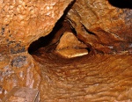 Beautifully-scalloped phreatic passage leading towards the Second Well Pitch