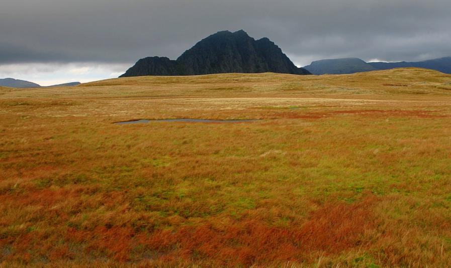 20051029-131144.jpg - Tryfan from y Foel Goch