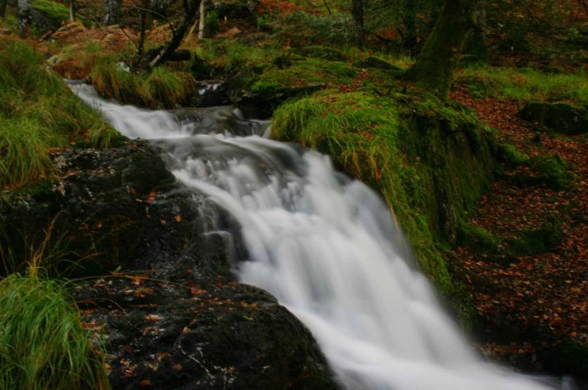 20051030-140254.jpg - Woodland cascade by the Watkin Path