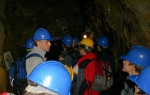 Group