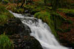 Woodland cascade by the Watkin Path
