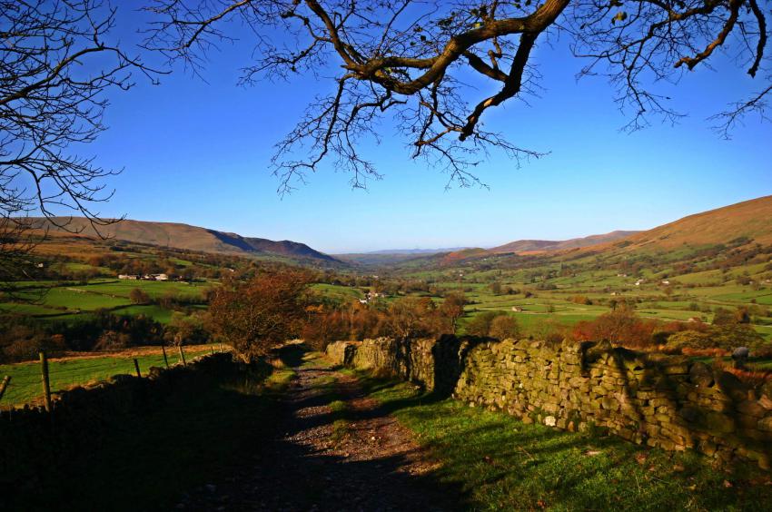 20051113-112448.jpg - Dentdale