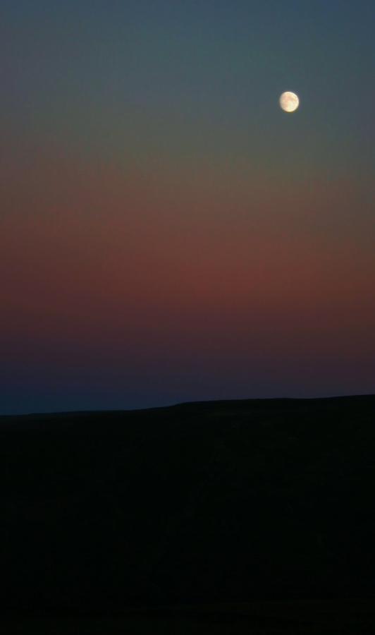 20051113-161744.jpg - Moonrise