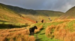 Cautley Crag and Cautley Spout, and ponies