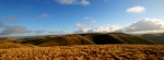 Calf retrospective from Fell Head