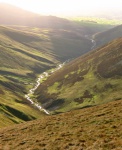Long Rigg Beck