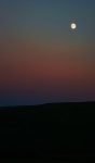 Moonrise