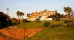 Palm trees in winter sunlight in Hunstanton