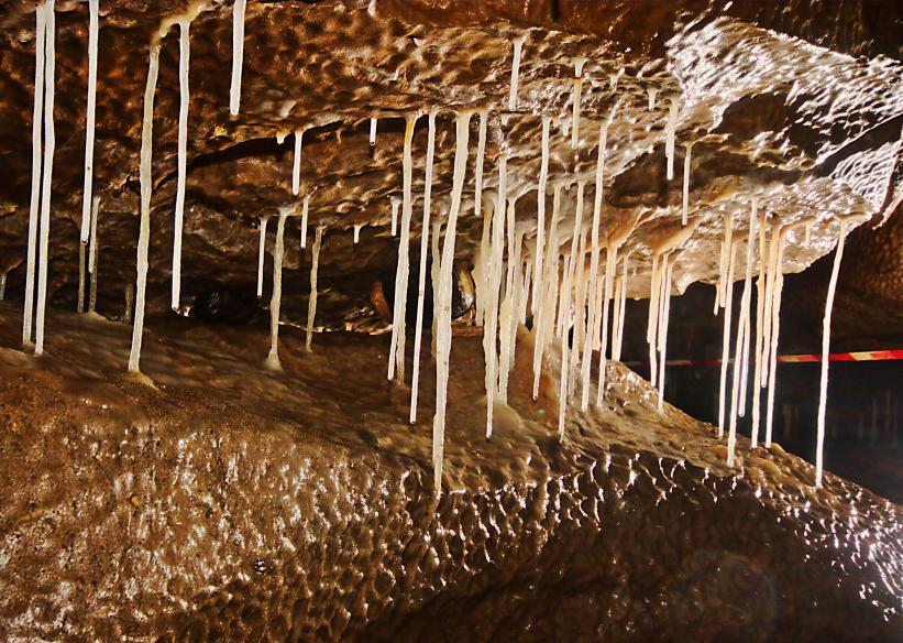 20051218-151430.jpg - Delicate straw stalagtites in Spiral Staircase passage