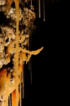 Helictite in a side passage