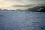 Footprints to where?
