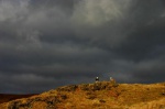Herdwick sentinels before the cloud